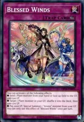 Blessed Winds