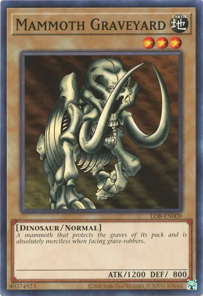 Mammoth Graveyard