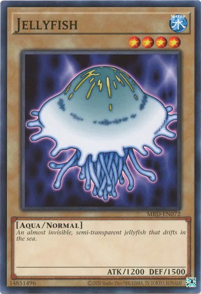 Jellyfish