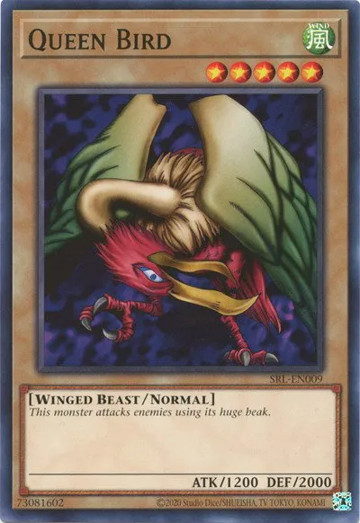 Queen Bird