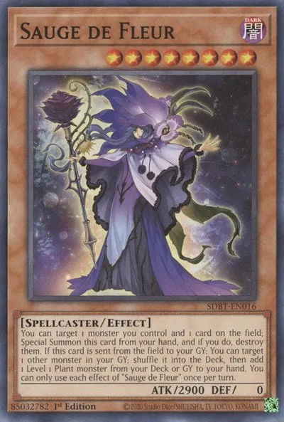 Sauge de Fleur