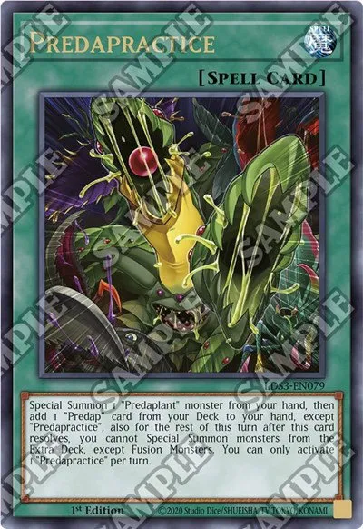 Predapractice - 1st Edition