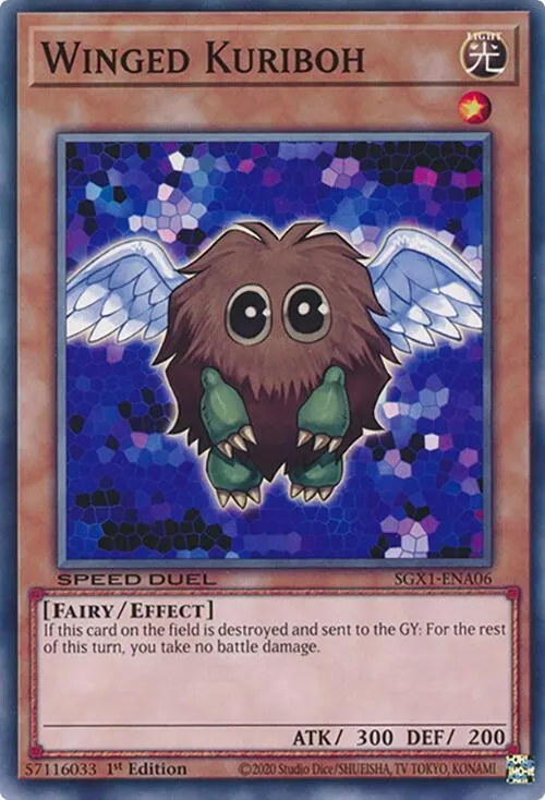Winged Kuriboh - 1st Edition