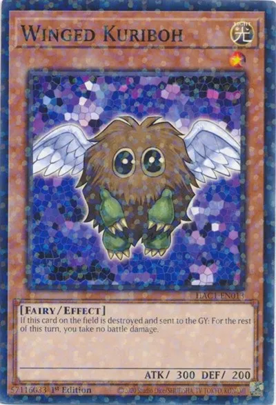 Winged Kuriboh - Duel Terminal
