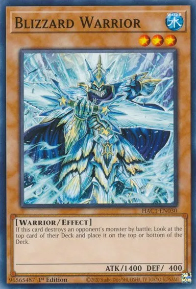 Blizzard Warrior - 1st Edition