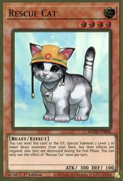 Rescue Cat - 1st Edition