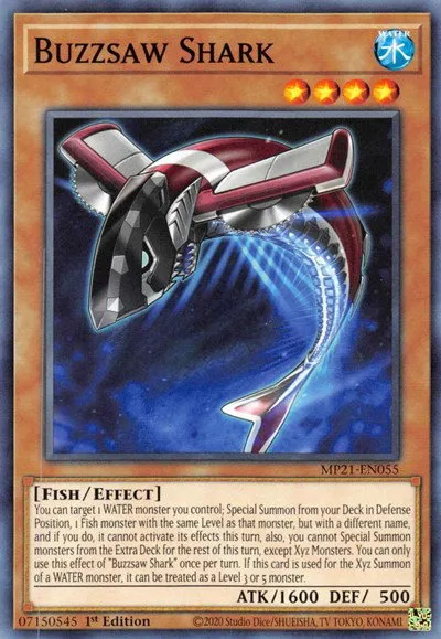 Buzzsaw Shark