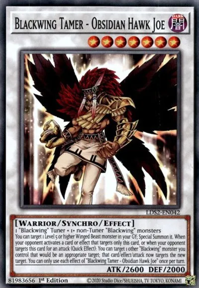 Blackwing Tamer - Obsidian Hawk Joe