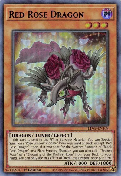 Red Rose Dragon - Purple