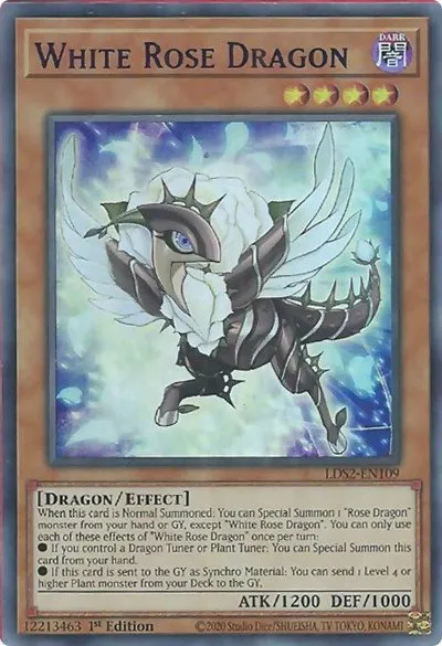 White Rose Dragon - Purple