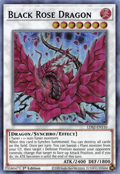 Black Rose Dragon - Purple