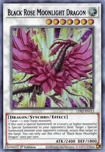 Black Rose Moonlight Dragon - Purple