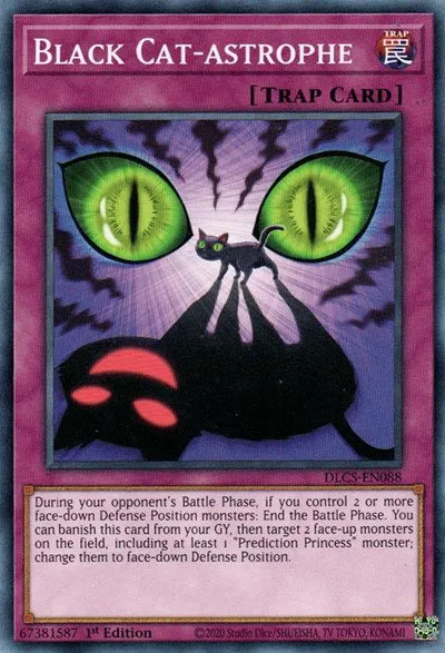 Black Cat-astrophe