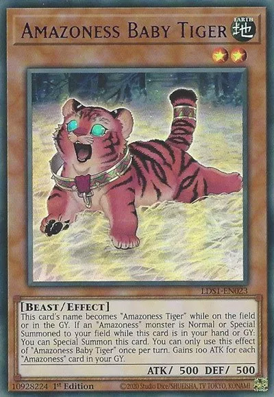 Amazoness Baby Tiger - Purple