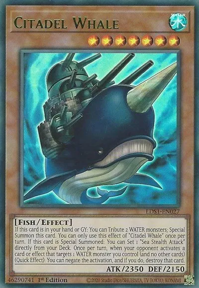 Citadel Whale - Green
