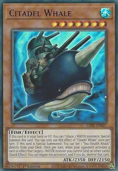 Citadel Whale - Purple